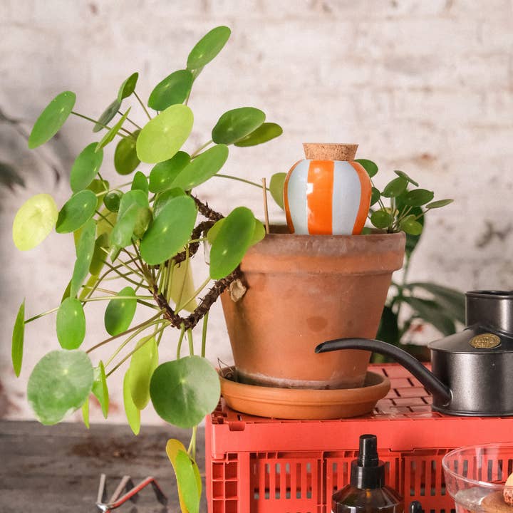 Olla – Orange & blaue Streifen, handgefertigt
