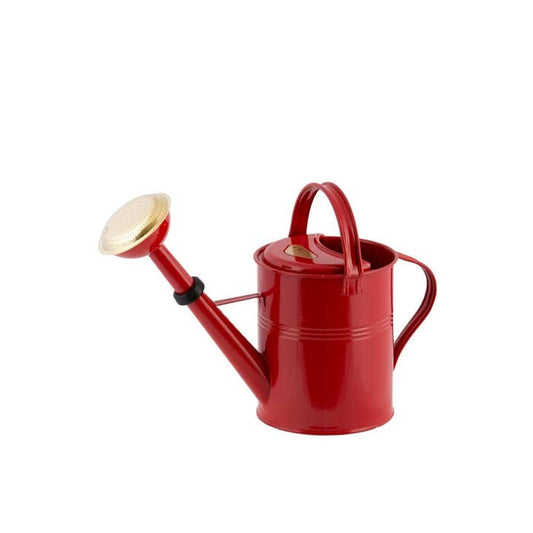 Gießkanne 5 Liter – robust & langlebig aus feuerverzinktem Metall