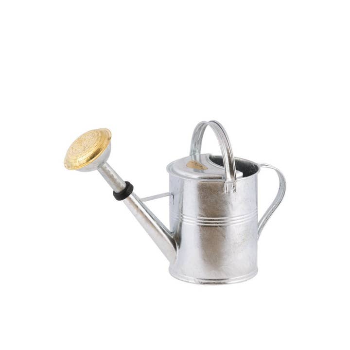 Gießkanne 5 Liter – robust & langlebig aus feuerverzinktem Metall