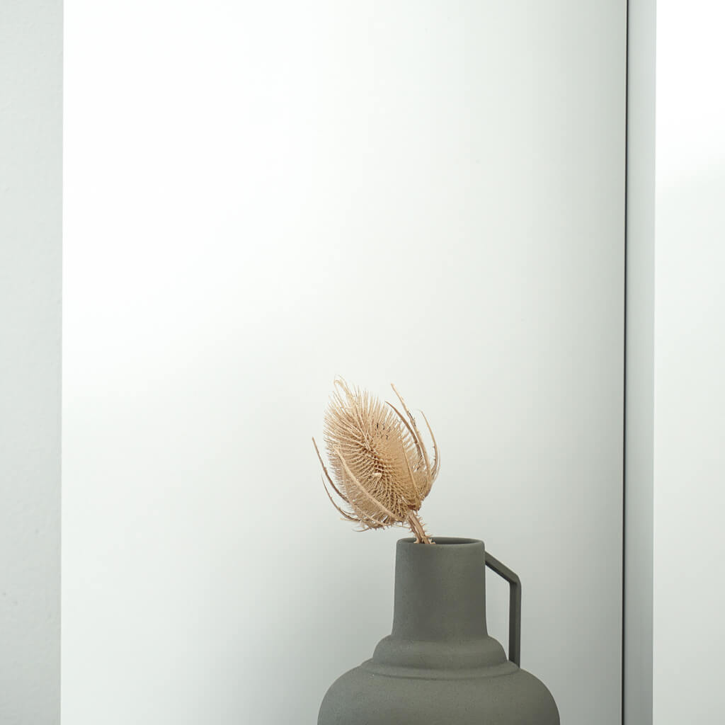 Getrocknete Distel – Cardi