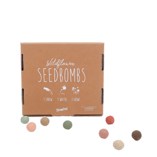 Blumen Samenbomben – 9 handgefertigte Bio-Samenbomben – Briefkastentauglich – Für Garten, Balkon & wilde Blumenwiesen