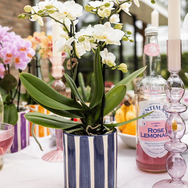 Ziertopf Painted Stripe – Blau – Ø9cm – Moderner Keramiktopf mit Streifenmuster – Stilvolles Wohnaccessoire für Zimmerpflanzen, Sukkulenten & Kakteen