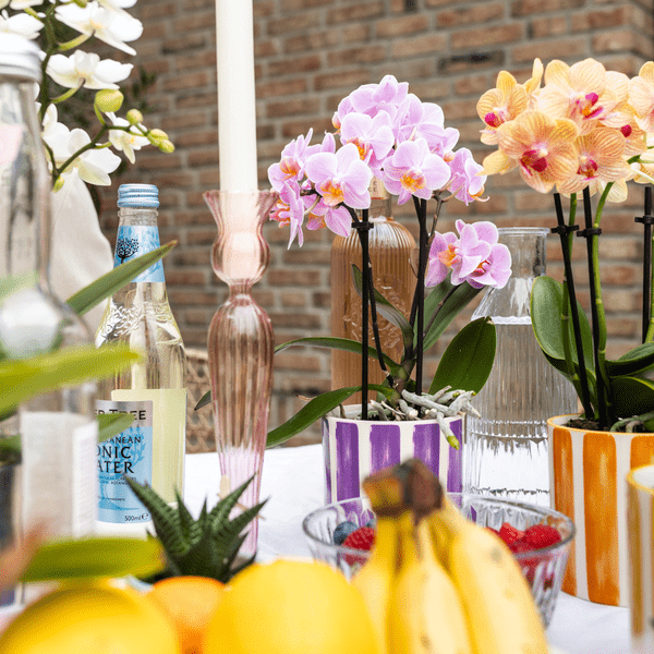 Ziertopf Painted Stripe – Flieder – Ø9cm – Moderner Keramiktopf mit Streifenmuster – Stilvolles Wohnaccessoire für Zimmerpflanzen, Sukkulenten & Kakteen