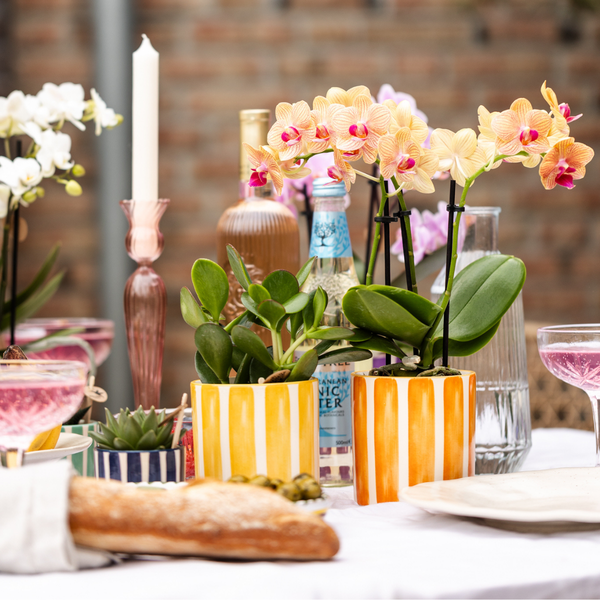 Dekotopf Keramik – Blumentopf Bemalter Streifen Orange – Ø9cm – Modernes Pflanzgefäß für Zimmerpflanzen & Deko