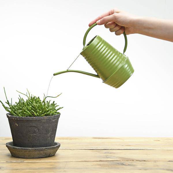 Blumengießkanne Zink – 1  Liter – Grün – Ergonomische Indoor-Gießkanne mit langer Tülle für präzises Gießen