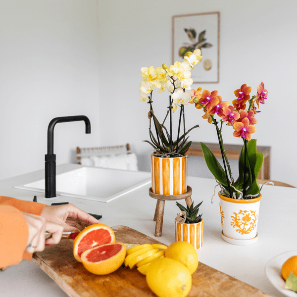 Dekotopf Keramik – Blumentopf Bemalter Streifen Orange – Ø9cm – Modernes Pflanzgefäß für Zimmerpflanzen & Deko