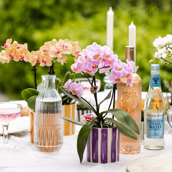 Ziertopf Painted Stripe – Flieder – Ø9cm – Moderner Keramiktopf mit Streifenmuster – Stilvolles Wohnaccessoire für Zimmerpflanzen, Sukkulenten & Kakteen