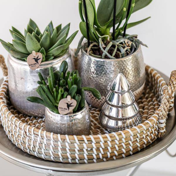 Blumentopf Elite Silber – Ø9cm – Glänzender Keramik Übertopf – Dekorativer Pflanztopf für Zimmerpflanzen – Moderner Keramiktopf für stilvolle Innendeko